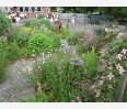 school garden