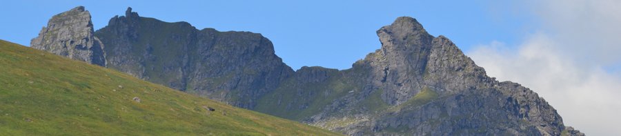 The Cobbler