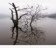 Reflections in Loch Lomond