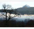 Ben Lomond over the mist